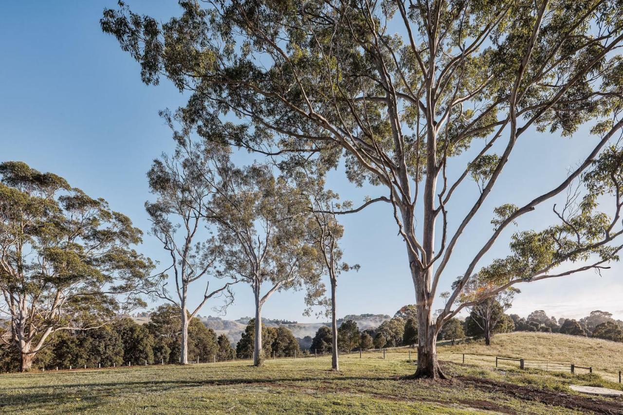 99 Acres Bangalow Retreat Exterior foto